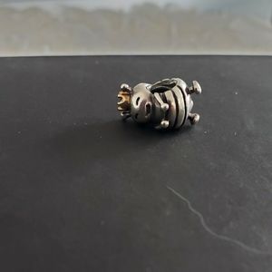Pandora  charm